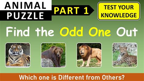 Select the odd oneout of the givencreatures Tortoise Crab Frog .